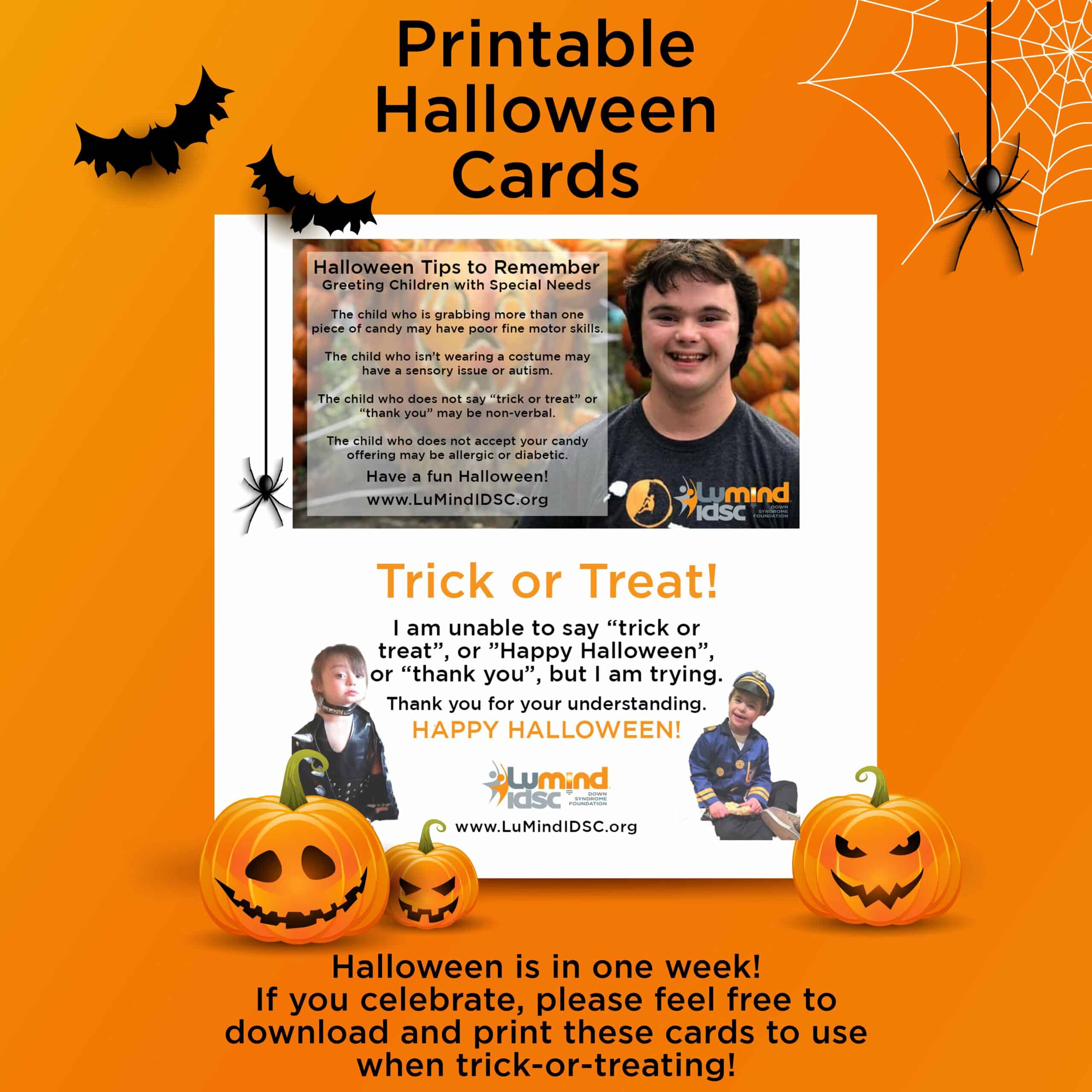 lumind idsc halloween cards scaled